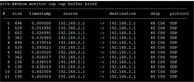 Output of Capture from the Router
