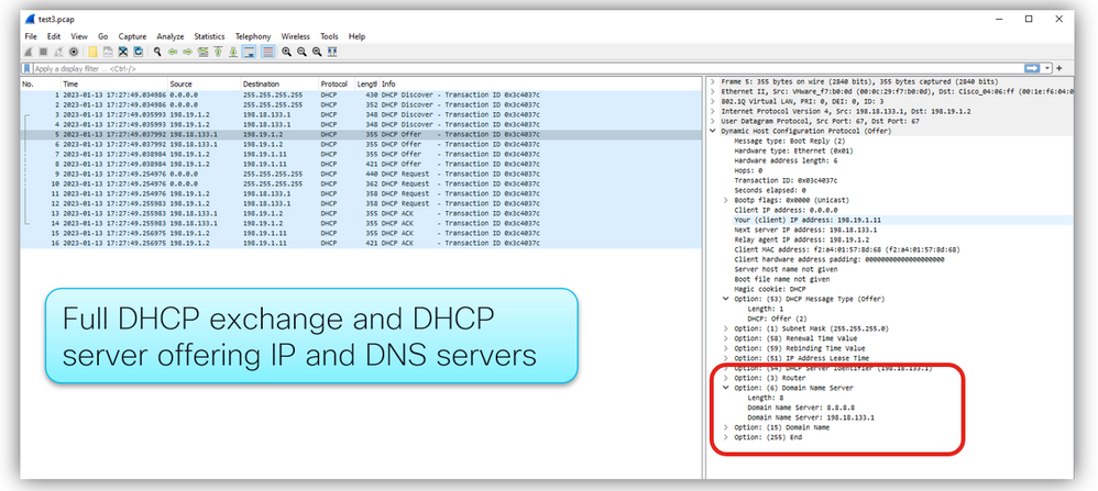 DHCP Offer detail of DNS server ip
